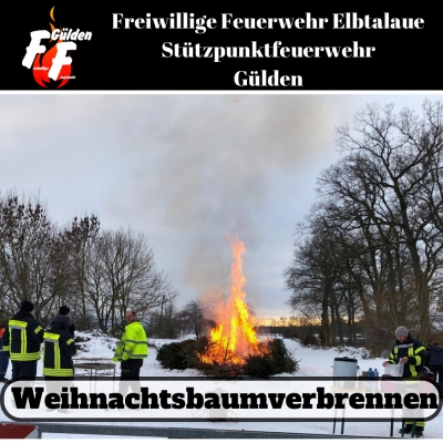 Weihnachtsbaumverbrennen