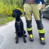 Technische Rettung > Personensuche